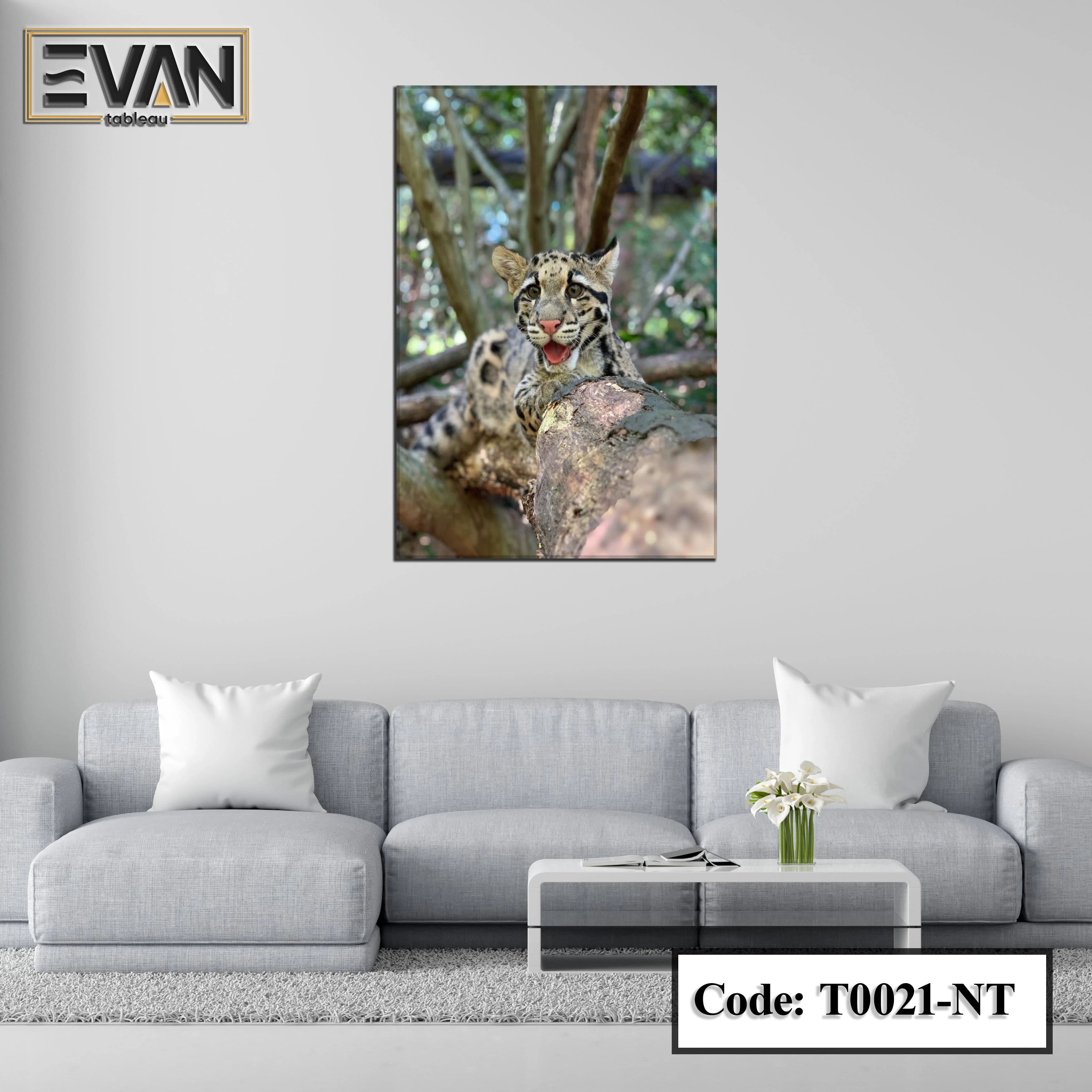 Nature Wall Art: The Curious Cub